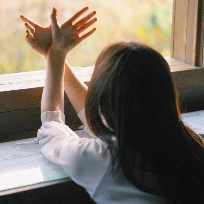 凭栏一片风云起