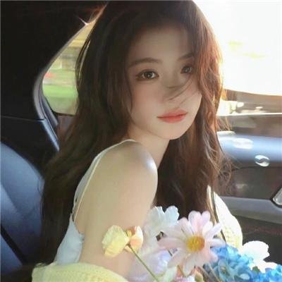 河东师情
